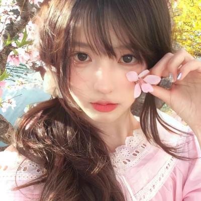 鹡鸰女神第一季